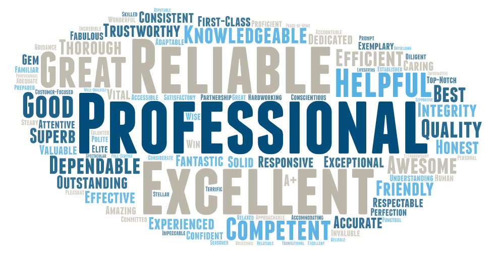 SEK Word Cloud of Client Feedback