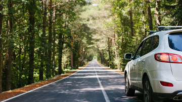 road trip