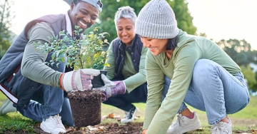 Group of people planting tree