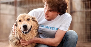 animal shelter volunteer