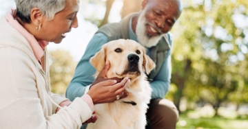 dog with owners