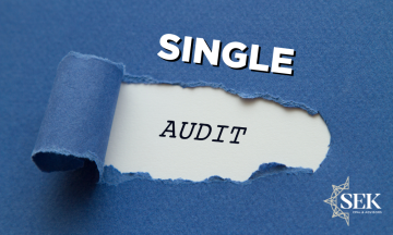 Single audits 101