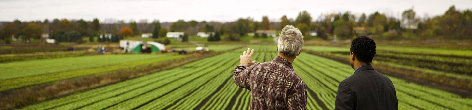 Agribusiness