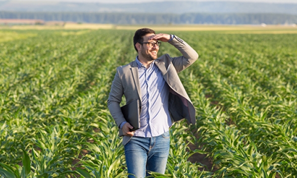 3 best practices for achieving organic sales growth