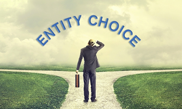 Which entity is most suitable for your new or existing business?