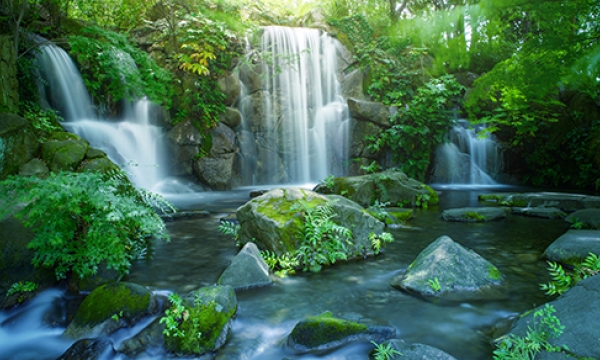 For a stronger nonprofit, increase the number of income streams