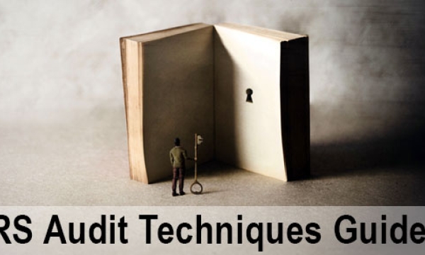 Want to find out what IRS auditors know about your business industry?