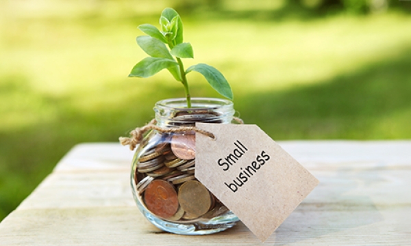 small business stock 