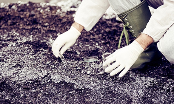 The tax implications if your business engages in environmental cleanup