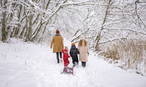 family in the snow