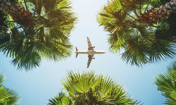 Plane above trees