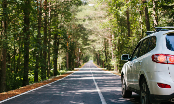 road trip
