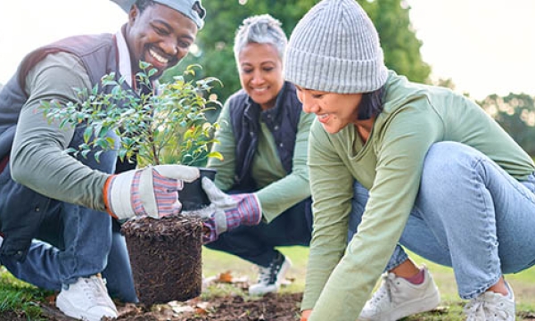 Group of people planting tree