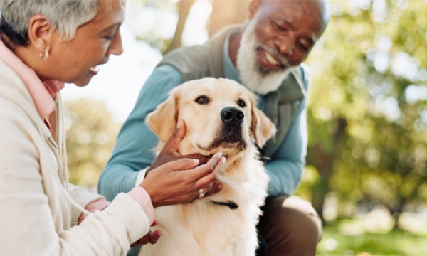 dog with owners