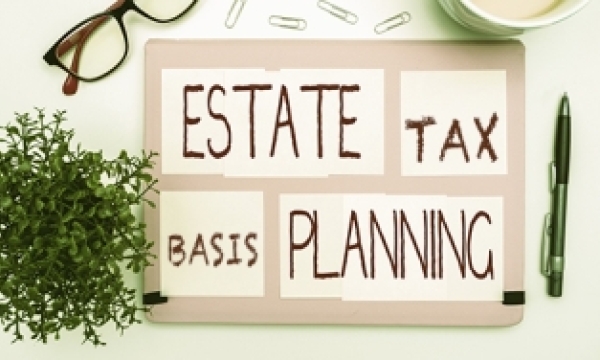 estate tax basis planning