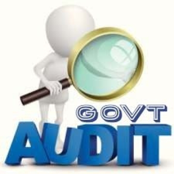 governmental audit