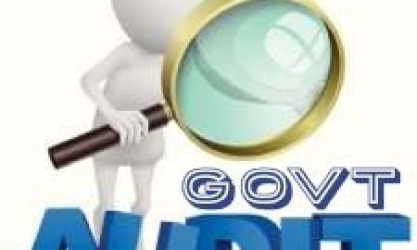 governmental audit