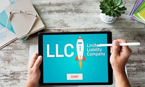 limited liability company