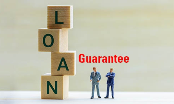 loan guarantee