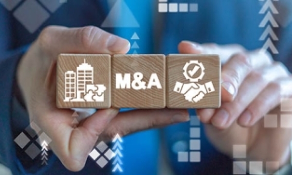 merger and acquisition building blocks
