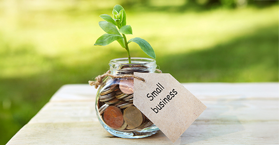 small business stock