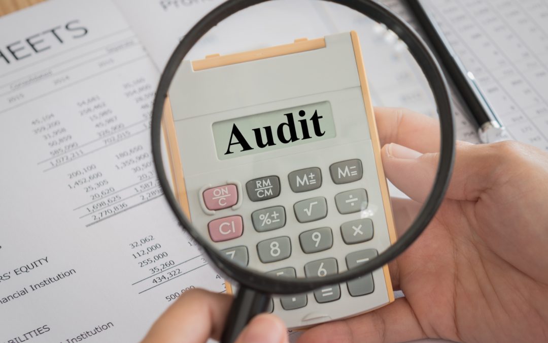 Governmental entities: How to prepare for an audit