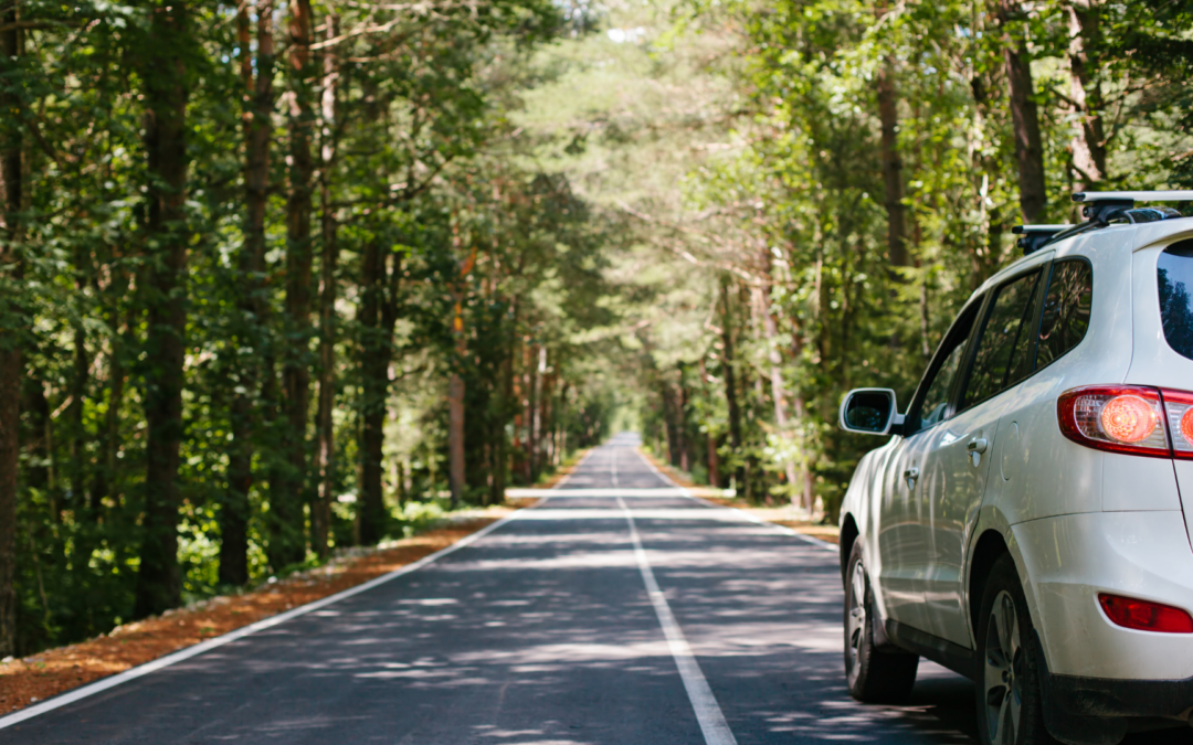 SEK’s Ultimate Road Trip Playlist