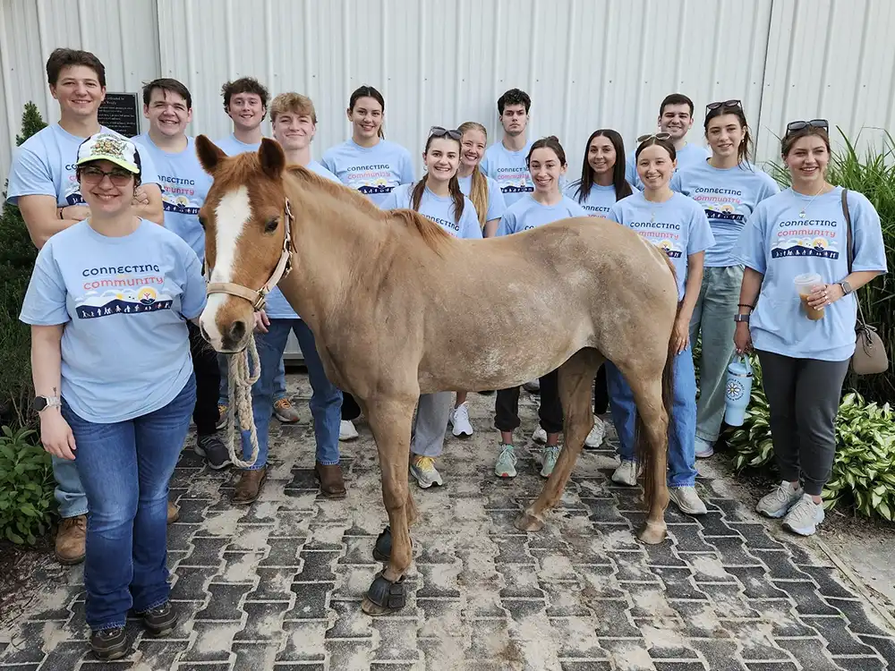SEK connecting communities group horse SEK Group Photo - Connecting Communities