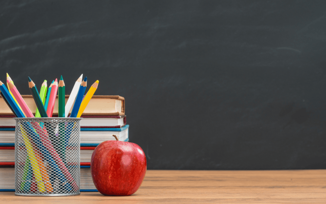 Back-to-School Season: SEK’s Favorite School Memories